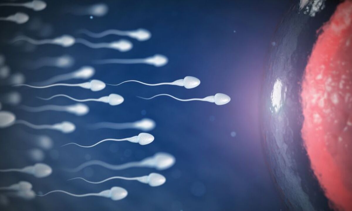 Sperm Hacmi Nasıl Artırılır?